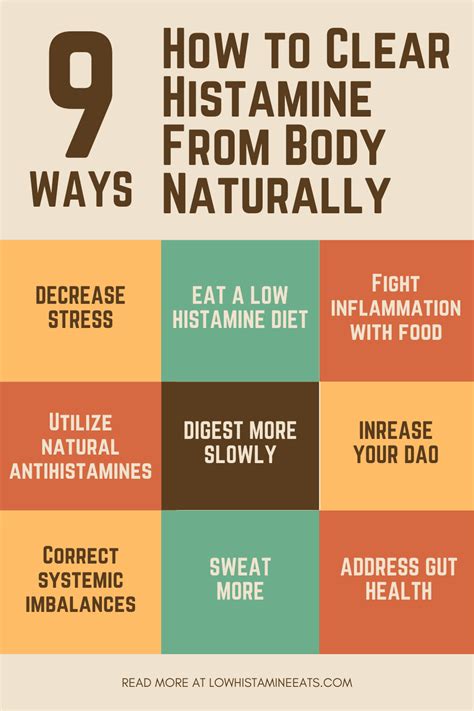 How To Clear Histamine From Body Naturally 9 Ways