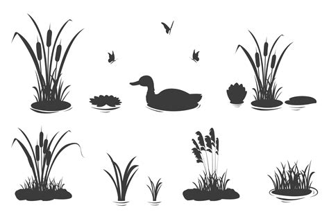 Silhouette Elements Of Swamp Grass With Reeds And Duck Set Of Vector