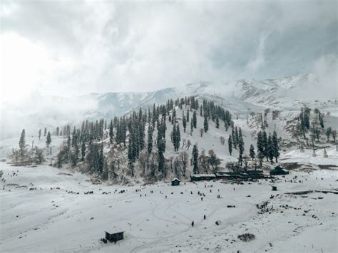 Gulmarg – Flower Meadow – Royal Adventure Holidays