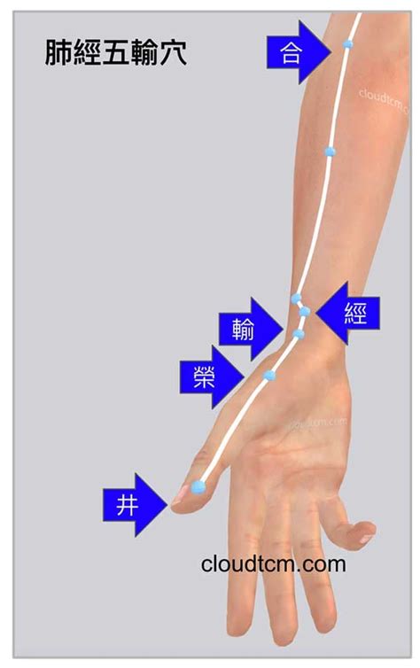 理解12經絡的原穴與五輸穴，良導絡檢測點是什麼穴？ 雲端中醫養生