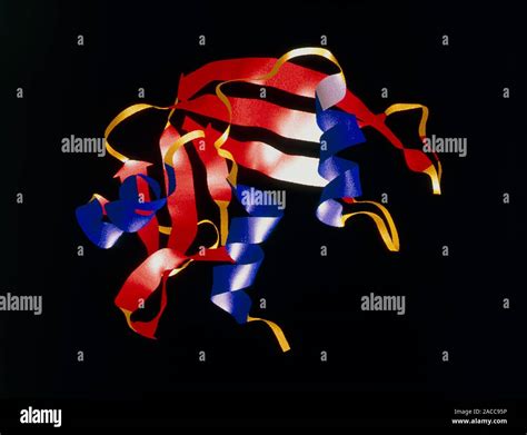 Ribonuclease Enzyme Molecular Graphic Of Ribonuc Lease A Rnase A An Enzyme Which Cleaves