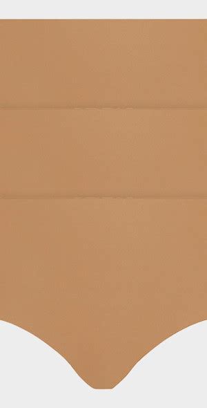 Commando Classic High Rise Microfiber Bikini Briefs Pack Of