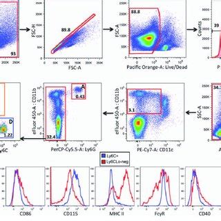 Immunophenotyping Monocyte Macrophage Subsets In Mouse Spleen Debris