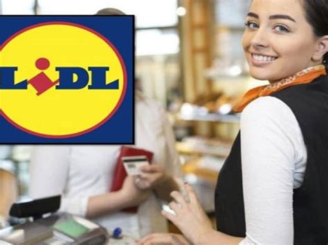 Assunzioni Lidl Posti Per Addetti Vendita E Operatori Filiale Paga