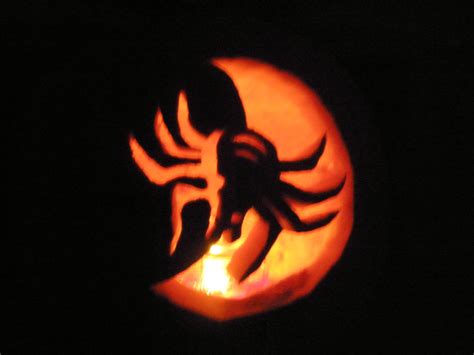 Spider Jack O Lantern