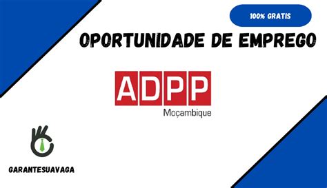 ADPP Moçambique Esta a Recrutar 06 Candidatos Em Diversas Áreas