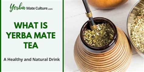 6 Best Yerba Mate Tea Bags Reviewed Tasty And Convenient