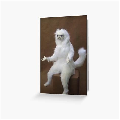 Confused Cat Reaction Meme Greeting Card For Sale By Alexcrewe