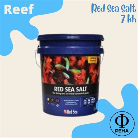 Jual Red Sea Salt Kg Bucket Asw Garam Air Laut Red Sea Garam Redsea