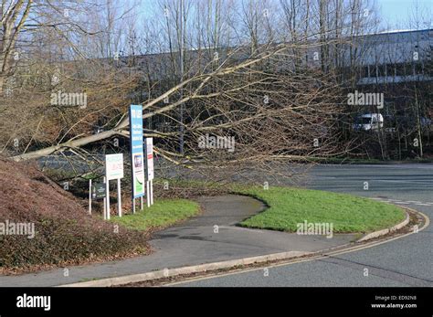 Annesley nottinghamshire hi-res stock photography and images - Alamy