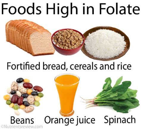 Folate Sources, Functions, Benefits, Side Effects, Deficiency