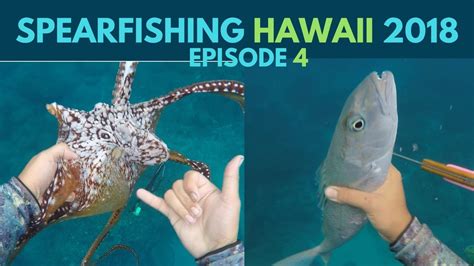 Spearfishing Hawaiiulua Housegiant Trevally Tako Divingoctopus