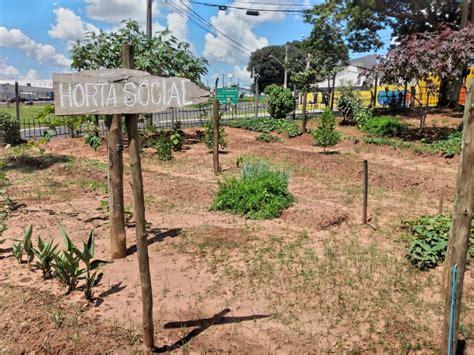 Projeto Cemeia Busca Parceiros Para Desenvolvimento De Hortas Sociais