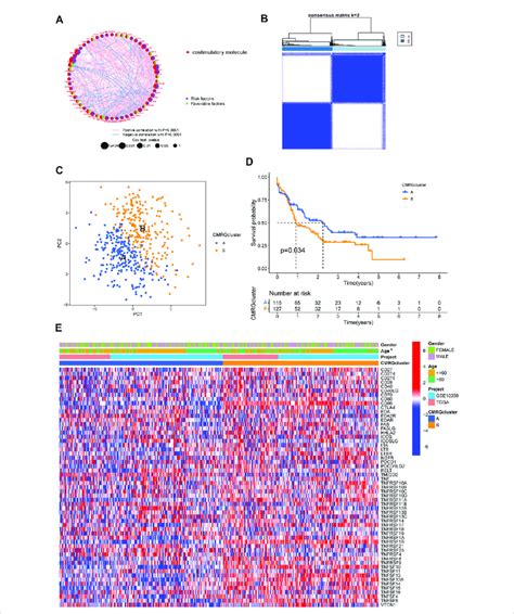 Identification Of Costimulatory Molecule Subtypes And Related