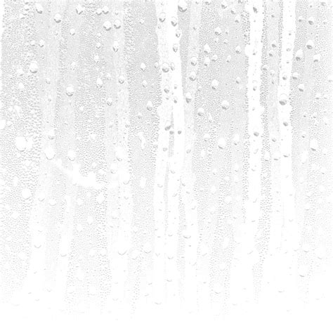 Dark Woodland Tree Silhouettes Nature Background Clipart Png All