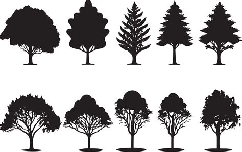 Vector Set Of Plant And Tree Silhouette Illustration Minimalist Tree