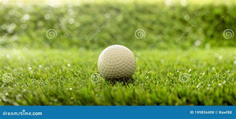 Golfball On Green Grass Golf Course Close Up View Stock Photo Image