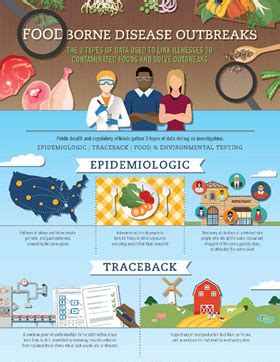 Foodborne Diseases And Outbreaks Environmental Health