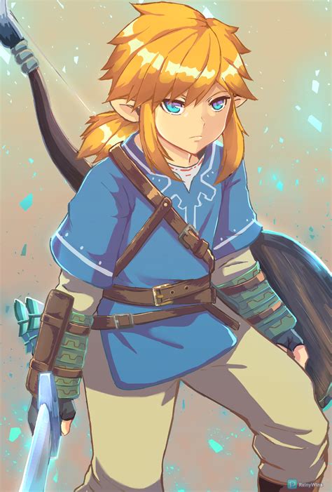 Link Breath Of The Wild Zelda No Densetsu Breath Of The Wild