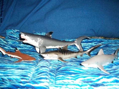 10 Best Safari Ltd Sharks Images On Pinterest Shark Sharks And Safari