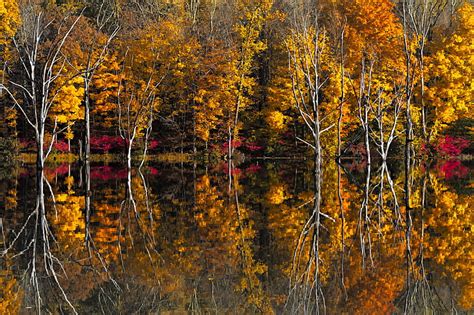 HD Wallpaper Autumn Trees Lake Reflection Wallpaper Flare