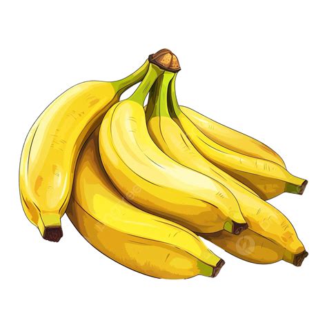 Bunch Of Bananas Clip Art