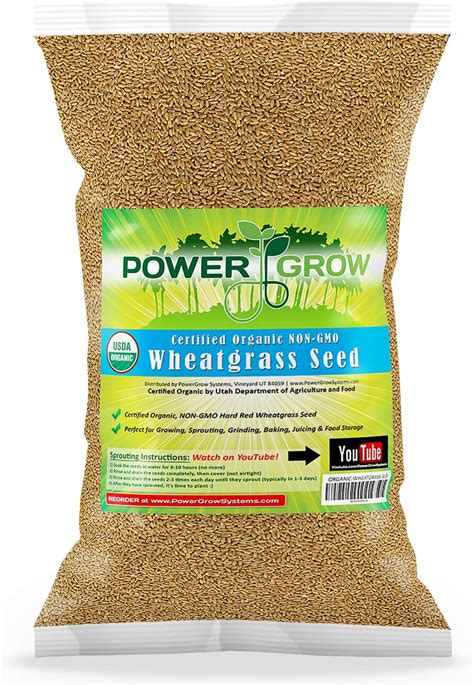 Amazon.com : Wheatgrass Seed - PowerGrow Systems Brand Chemical Free ...