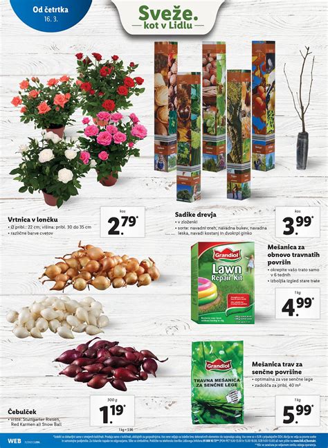 Lidl Katalog Neživila By Vsikatalogisi Issuu