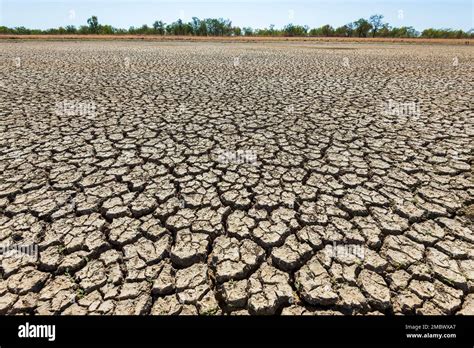 Dried Mud Patterns At Mutton Hole Wetlands Conservation Normanton