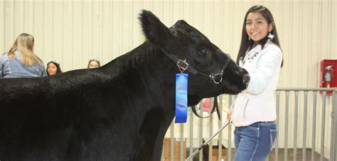 Hays County Youth Livestock Show 2020