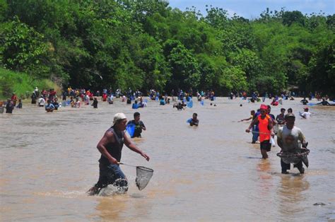 Tradisi Tubo Menangkap Ikan Bersama Sama Di Grobogan Republika Online