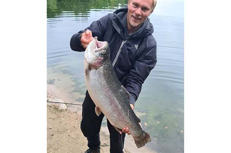 Gigantisk Regnbue Fra Store Rosenbusk Fisk Fri