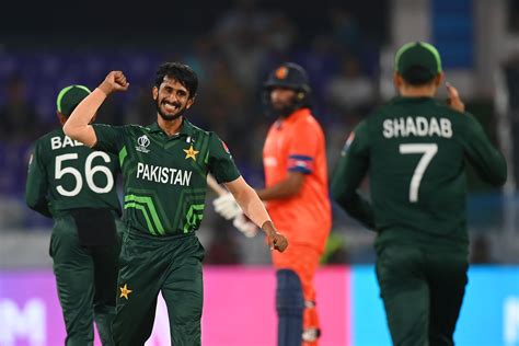 PAK Vs NED ICC World Cup 2023 Live Updates Haris Rauf Mohammad