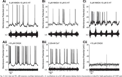 Figure 3 From Functional Characterization Of Di6 Interneurons In The