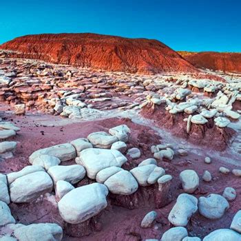 Petrified Forest | Gateway To The Petrified Forest RV Resort