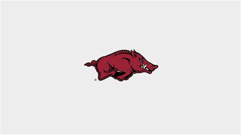 Razorback Wallpaper (64+ images)