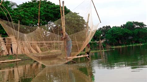 Amazing Lift Net Fishing In Beel Traditional Net Catch Fishing In