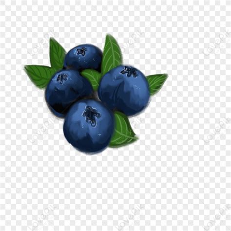 Gambar Kartun Ilustrasi Blueberry Penuh Png Unduh Gratis Lovepik