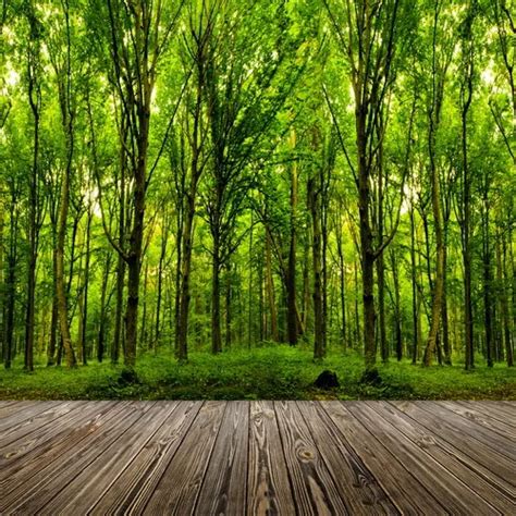 8x12ft Outdoor Green Trees Forest Woods Dark Wooden Plank Floor Custom