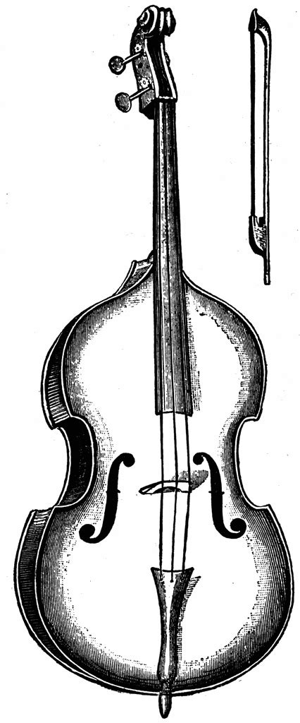 Double Bass Clipart Etc