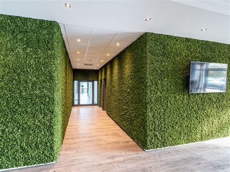 Moss Wall Evergreen Premium Moss Wall By Freund Gmbh