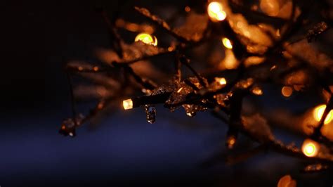 Winter Lights Steen Jeppesen Flickr