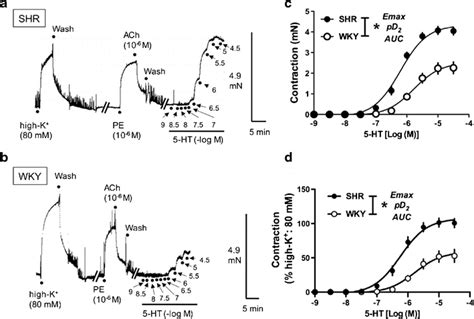 Concentration Response Curves For 5 Ht Mediated Contractions Of Carotid