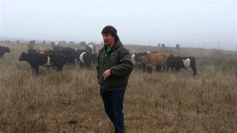 Darren Doherty Talks About Evaluating Pasture Progress And The Benefits