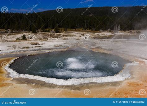 Boiling Water In Crested Pool Of Yellowstone National Park Stock Image