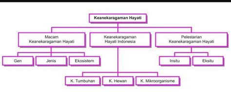 Detail Peta Konsep Keanekaragaman Hayati Koleksi Nomer