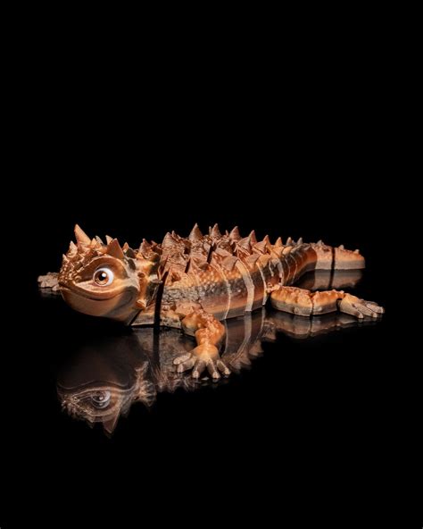 Thorny Devil