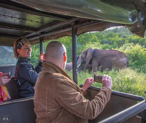 The Best Full Day Hluhluwe Umfolozi Game Reserve Safari 2024