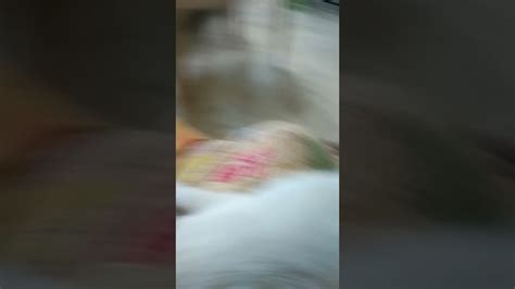 Cute Dog Reaction 😍😍 Youtube