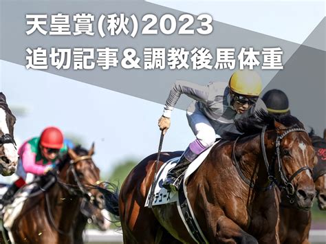 【天皇賞秋2023予想】出走各馬の追い切り記事まとめ＆調教後馬体重の一覧 イクイノックス・ドウデュース・プログノーシス・ジャックドールなど